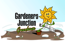 Gardeners Junction Greenhouse