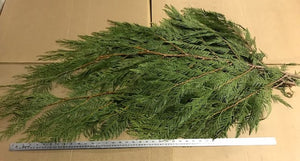 Cedar boughs bundle