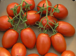 tomato roma 3 gallon